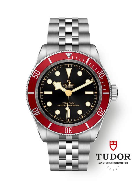 tudor black bay 7941a1a0ru